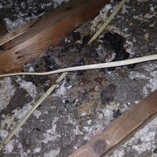 Attic insulation and timber from the business’s public Facebook gallery